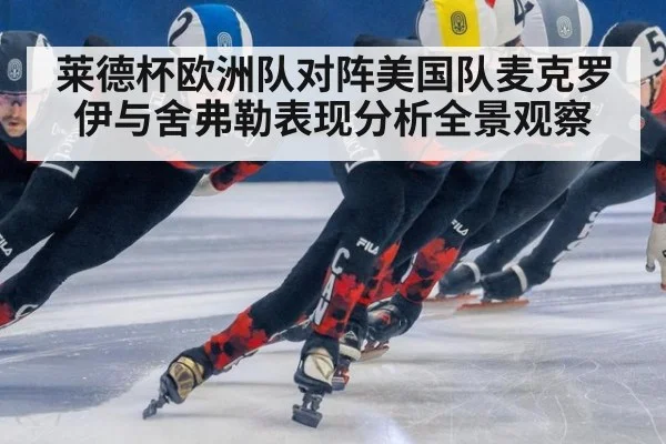 莱德杯欧洲队对阵美国队麦克罗伊与舍弗勒表现分析全景观察